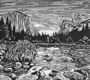 "Yosemite"<br />-14" x 24"<br />-Linocut<br />-Printed on a Conrad E-18 Etching Press<br />
-3 Fish Studios in San Francisco, CA