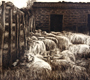 "Chianti Sheep"<br />-12" x 9"<br />-Intaglio<br />-Printed on a Conrad E-31 Etching Press<br />
-Frame Studios in Fruitport, MI