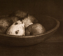 "Hetta's Bowl With Pears"<br />- 8 1/4" x 12 1/4"<br />- Photopolymer Gravure<br />- Printed on an American French Tool Etching Tabletop Press<br />- At Mark Nelson's Studio